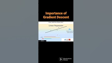 Importance of Gradient Descent.