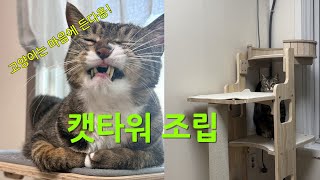 고양이가 좋아하는 캣타워 조립 | 투닥투닥하기 | 싸우는 거 아님‍♀