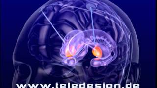 Gn 074 Hirnschrittmacher - Sd Pal Gn 074 Deep Brain Stimulation Ths - Sd Pal