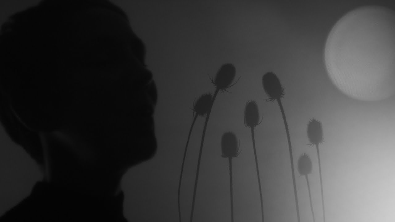 Watch Stacey Kent - If You Go Away (Official Video) on YouTube