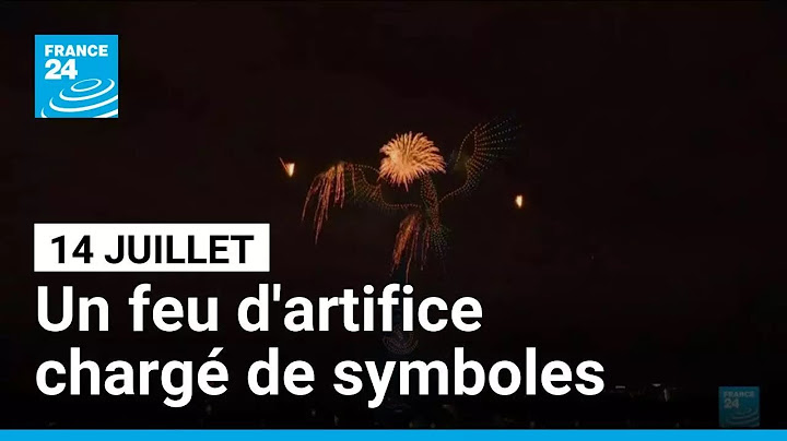 Feu d'artifice du 14 juillet : un spectacle chargé de symboles à Paris • FRANCE 24