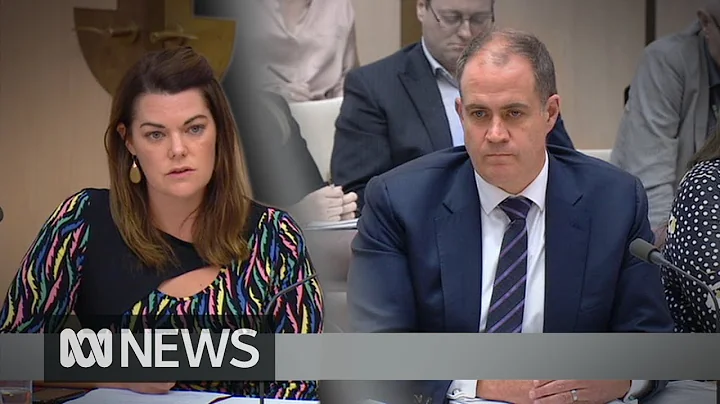 Michelle Guthrie sacking: David Anderson faces Sen...