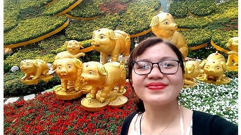 Hội Hoa Xuân Công ViênTao Đàn Đang Chuẩn Bị Khẩn Trương Để Đón Khách Xuân 2019|Khám Phá Xuân Sài Gòn