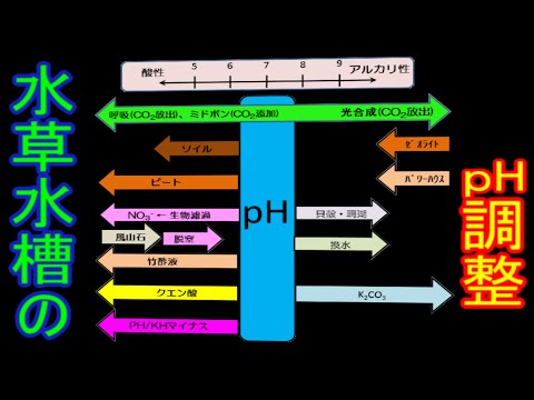 水槽126 水草水槽のｐh調整 90cm水草水槽 Youtube