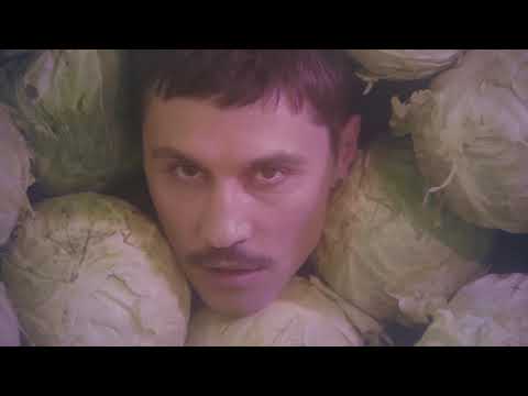 Дима Билан - ПРО БЕЛЫЕ РОЗЫ ( премьера клипа 2019 ) | без лишних кадров | Тимми ДАК 2