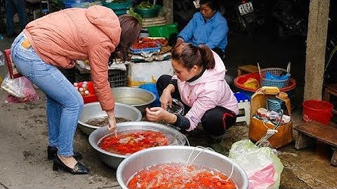 Sôi động thị trường cá chép cúng ông Công, ông Táo