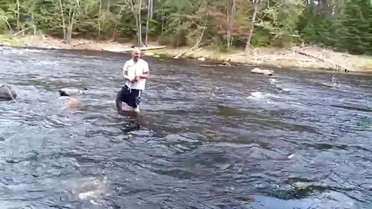 FlyFishing for Brook Trout on Crooked River, Harrison,Maine YouTube