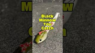 ⚠️I SEGRETI DEL BLACK MINNOW  🎣 pesca in verticale e un trucco per catturare di più #fishingreel