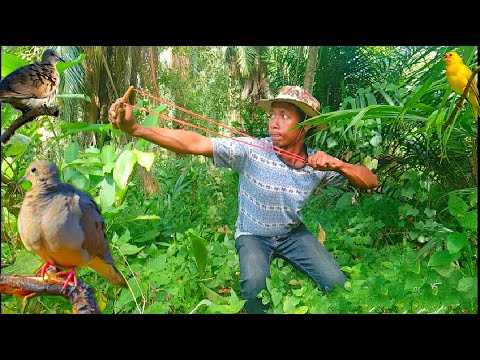 Hunting slingshot #44 - Shoot the birds in the deep forest || Thai S