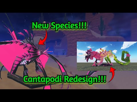 New Xymorax Species