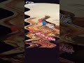 وردة شارلومانتي ويعطيه 