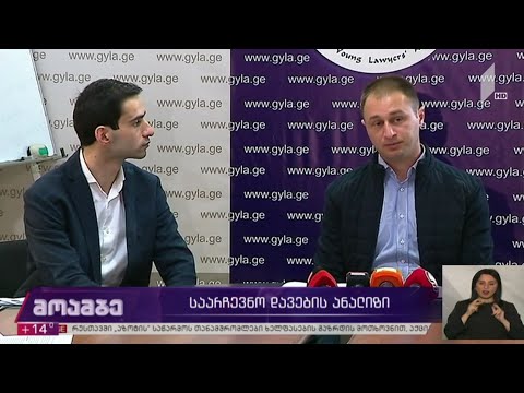 საარჩევნო დავების ანალიზი