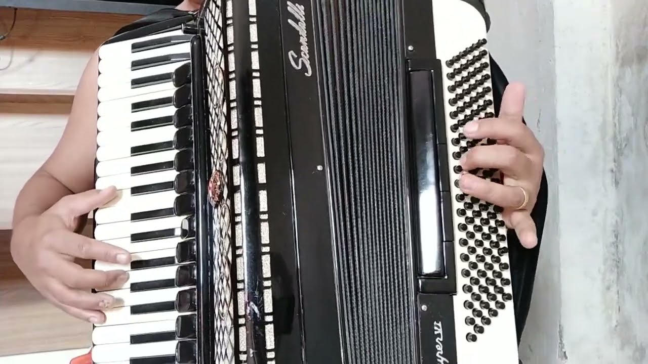 Vídeo Aula Acordeon 