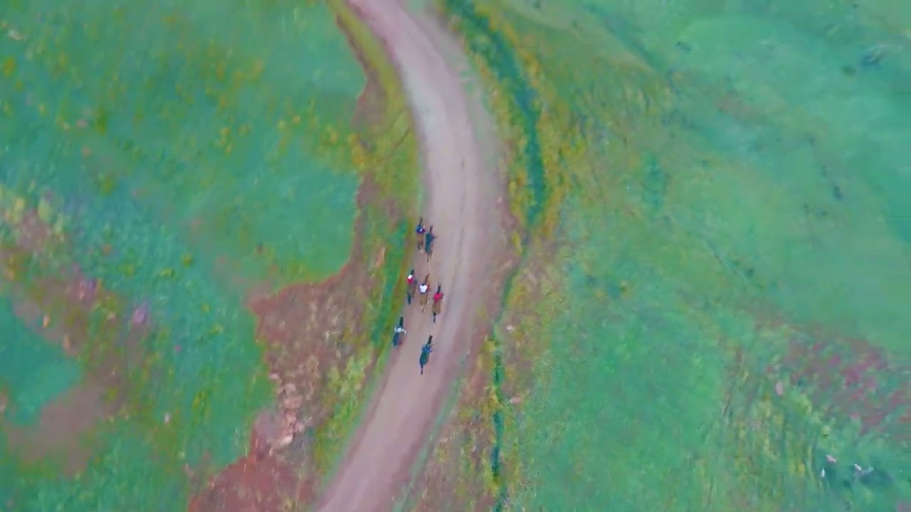 АТ ЧАБЫШ ТОКТОГУЛ РАЙОНУ САРЫ КАМЫШ АЙЫЛЫ