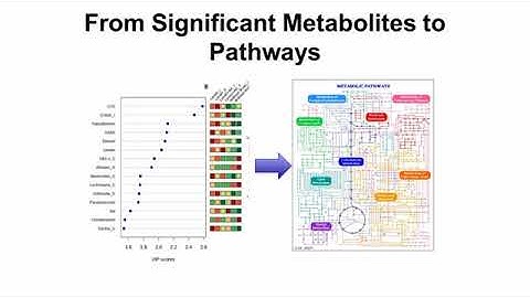 Lecture 9  Analyzing Metabolomic data