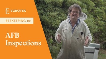 Beekeeping 101: How and when to do AFB inspections on your bee hive - Dr Mark Goodwin