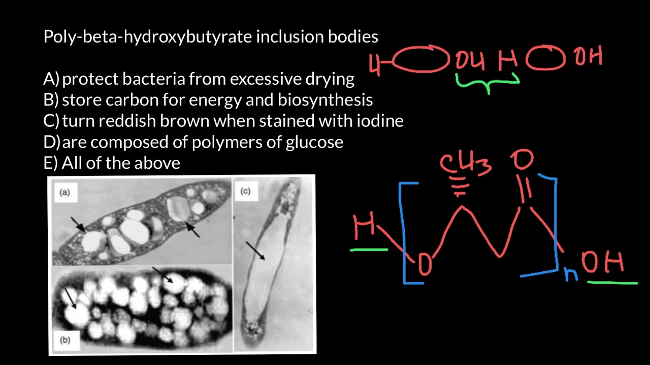 Hydroxybutyrate Images, Stock Photos & Vectors - Shutterstock