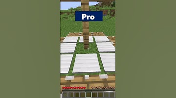 Minecraft NOOB vs PRO vs HACKER: Traps #Shorts