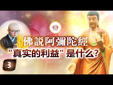 《佛说阿弥陀经》第3讲 - “真实的利益” 是什么？ | 净本法师 主讲 【请打开CC字幕】