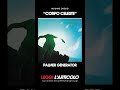 PALMER GENERATOR - Corpo Celeste