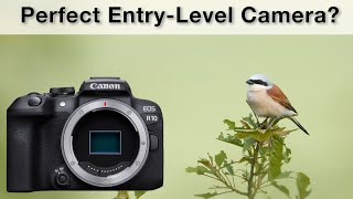 Canon R10 Review - The perfect entry-level camera?