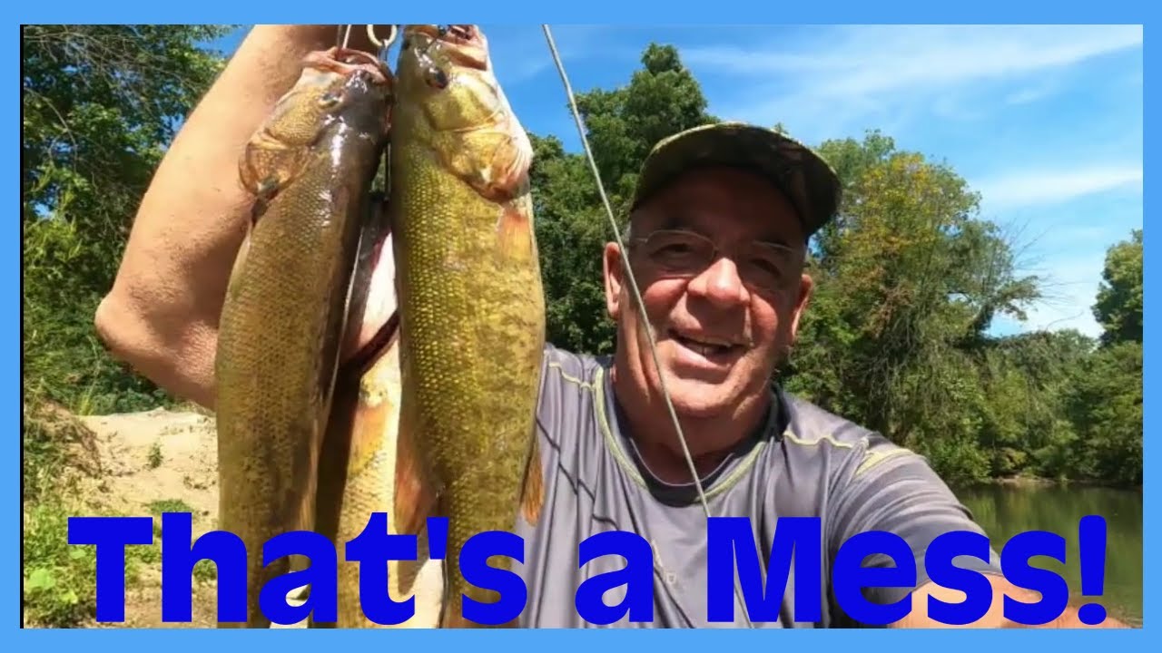 When to Catch River Bass! #fishing #bassfishing