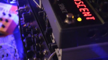 Sonicsmith Squaver P1 in action song live