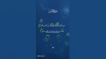 #سورة الناس#قرآن #اكسبلور #دويتو#لايك#فولو#ترند #حالات_واتس #تيك_توك