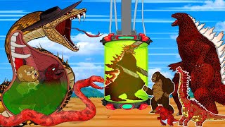 GODZILLA EARTH & KONG vs Evolution of PYTHON: Who Is The King Of Monster??? - FUNNY CARTOON [#2]