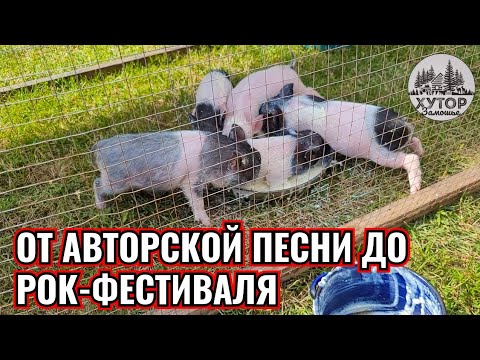 ОТ РОК-ФЕСТИВАЛЯ ДО АВТОРСКОЙ ПЕСНИ