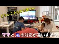 ママと兄の対応が違いすぎるw