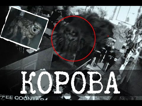 Корова-убийца возвращается - Happy Meat Farms/This place is not happy