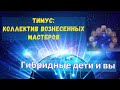 Гибридные дети и Вы ∞ Тимус: Коллектив Вознесенных Мастеров