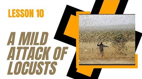 first year english mild attack of locusts urdu translation