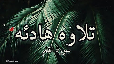 سورة القلم تلاوه هادئه بصوت القارئ هاني الرفاعي ❤