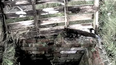 Beauty in Decay