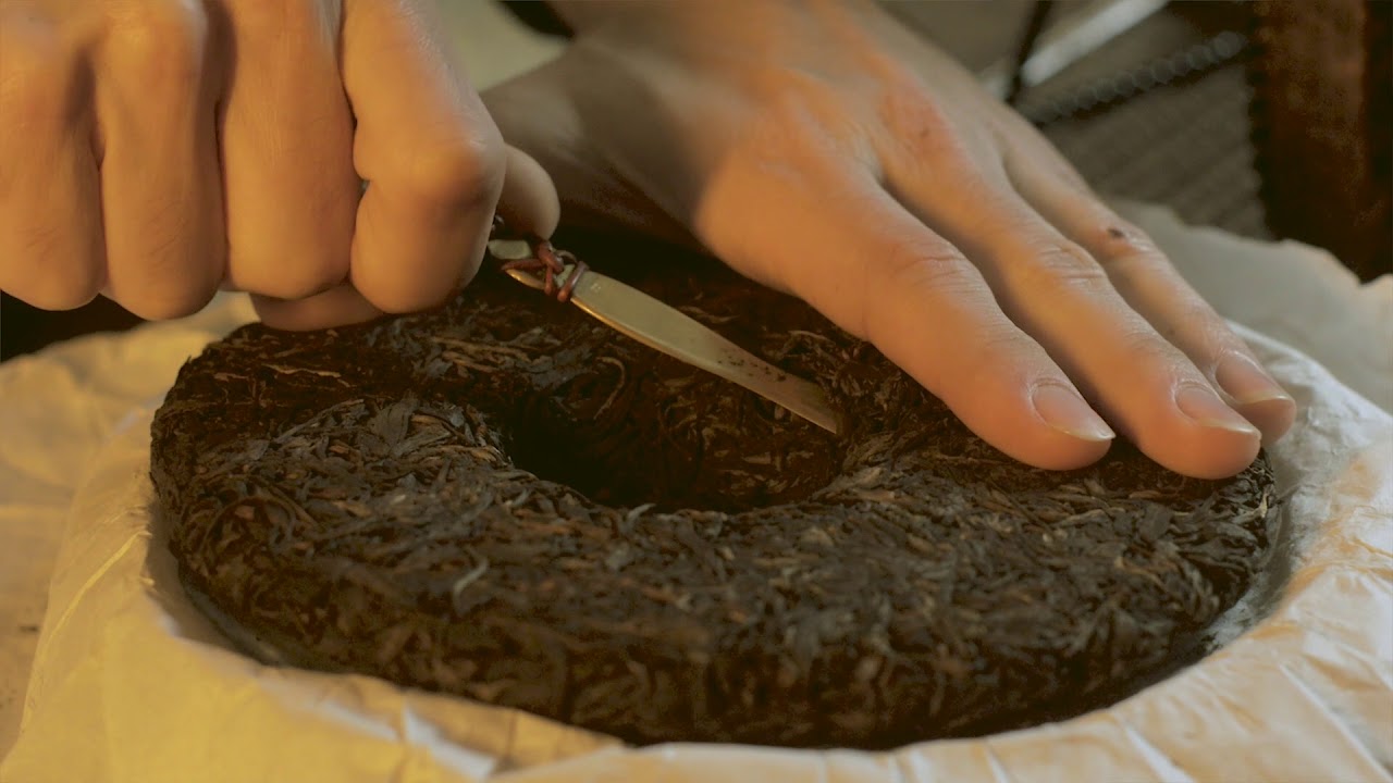 Gong Fu Tea|chA - Episode 8 - Bings and Pressed Tea