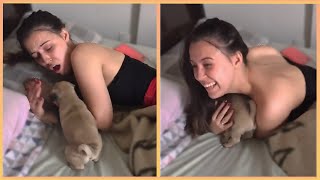 New Puppy Surprise Compilation 2024 | Wholesome Surprise Moments