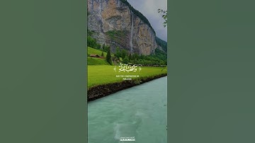 لَا يَسْتَوِي أَصْحَابُ النَّارِ وَأَصْحَابُ الْجَنَّةِ #القارئ_محمد_اسبيعان