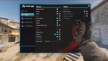 THE ANYX.GG EXPERIENCE (CS2 External Cheat)