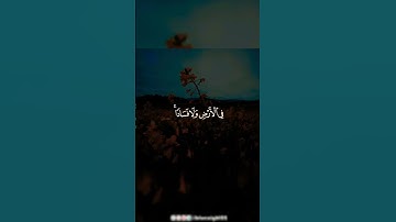 تلك الدار الآخرة نجعلها للذين لا يريدون علوا فى الارض  تلاوه رائعه اسمع للاخر @Quran-Kà24