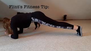 Mini Aussie FLINT'S FITNESS TIPS: Part 1