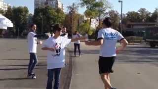 Team PANDA WWF @ Bucharest International Marathon 2014