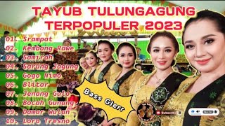 TAYUB TULUNGAGUNG TERPOPULER 2023 // FULL ALBUM // BASS GLERR