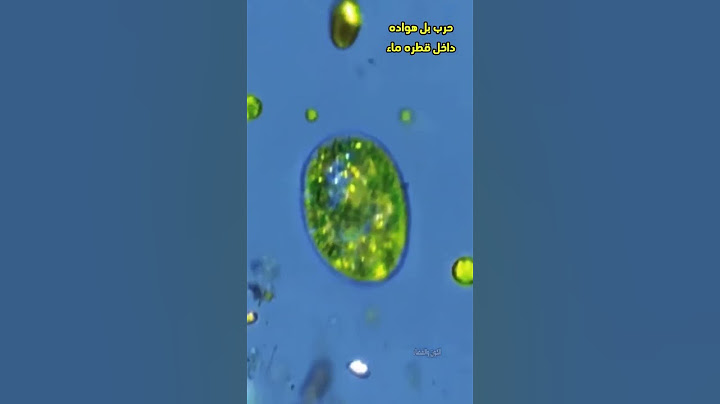 ما يحدث داخل قطرة الماء .. معجزة !!!