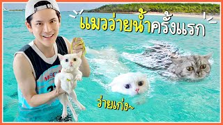 พาแมวแฮปปี้ ลิซ่าไปว่ายน้ำครั้งแรก!! | ติดเต๋า