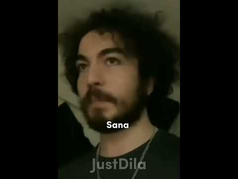 Porçay/Kediler ve Şarkılar~