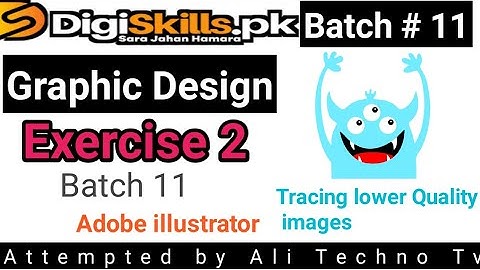 Graphic Design Exercise 2 Batch 11 | Digiskills graphic design exercise 2 solution batch 11 2021