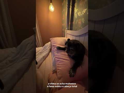 Kefera Buchmann Stories, August 26, 2026