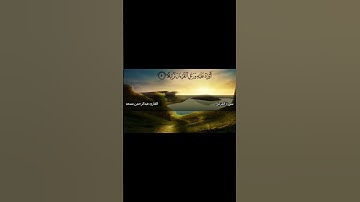 سورة المزمل #تلاوات #القرآن_الكريم #عبدالرحمن_مسعد